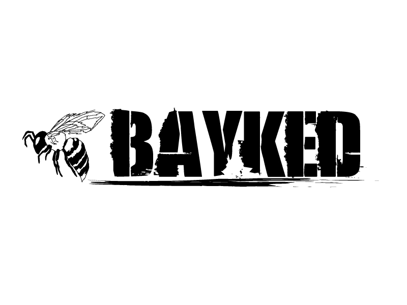 BAYKED bikes: vi